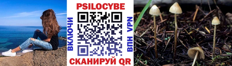 Галлюциногенные грибы Psilocybine cubensis  Ахтырский 